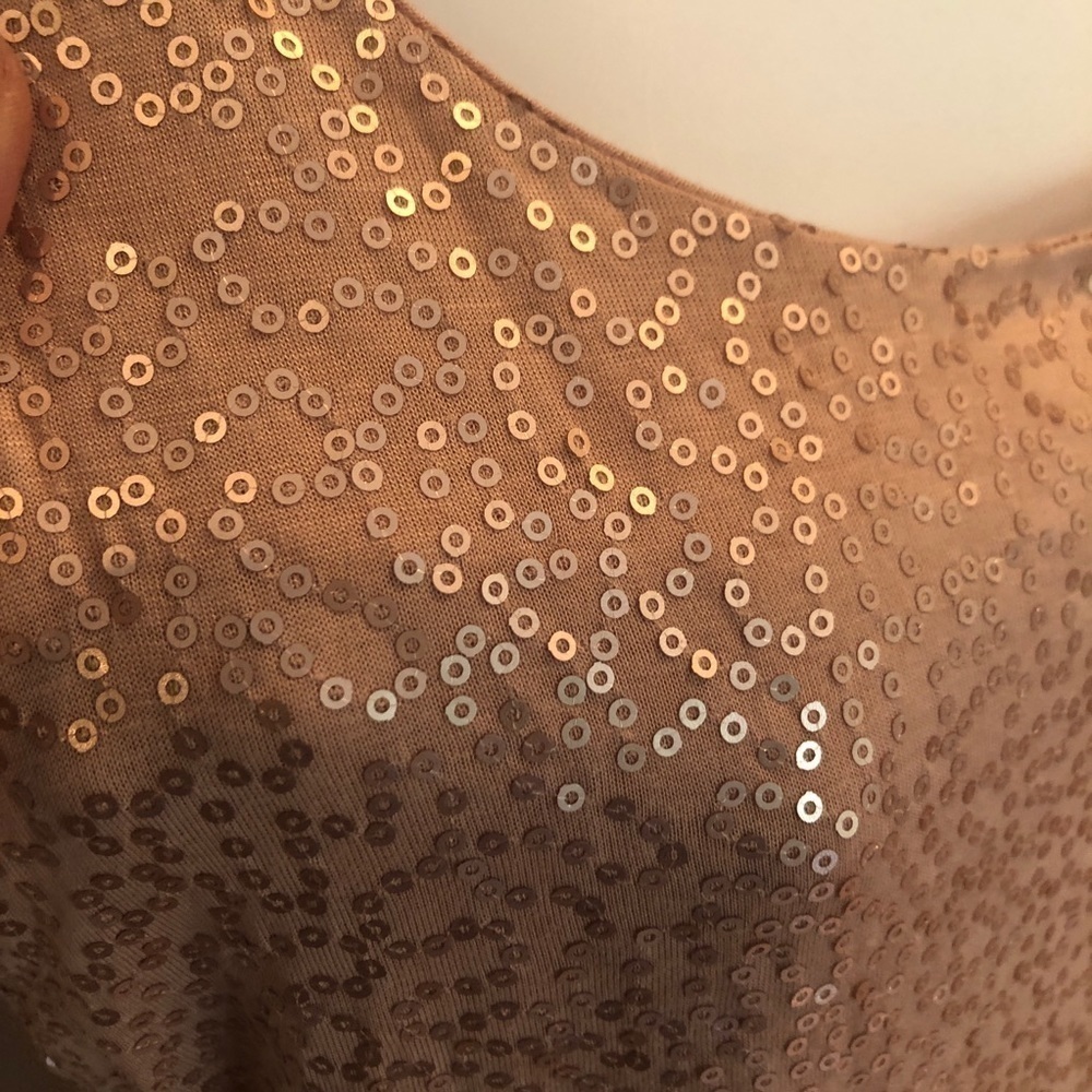 Talbots sparkly nude sequin sleeveless tank top size XS petite - Picture 2 of 5